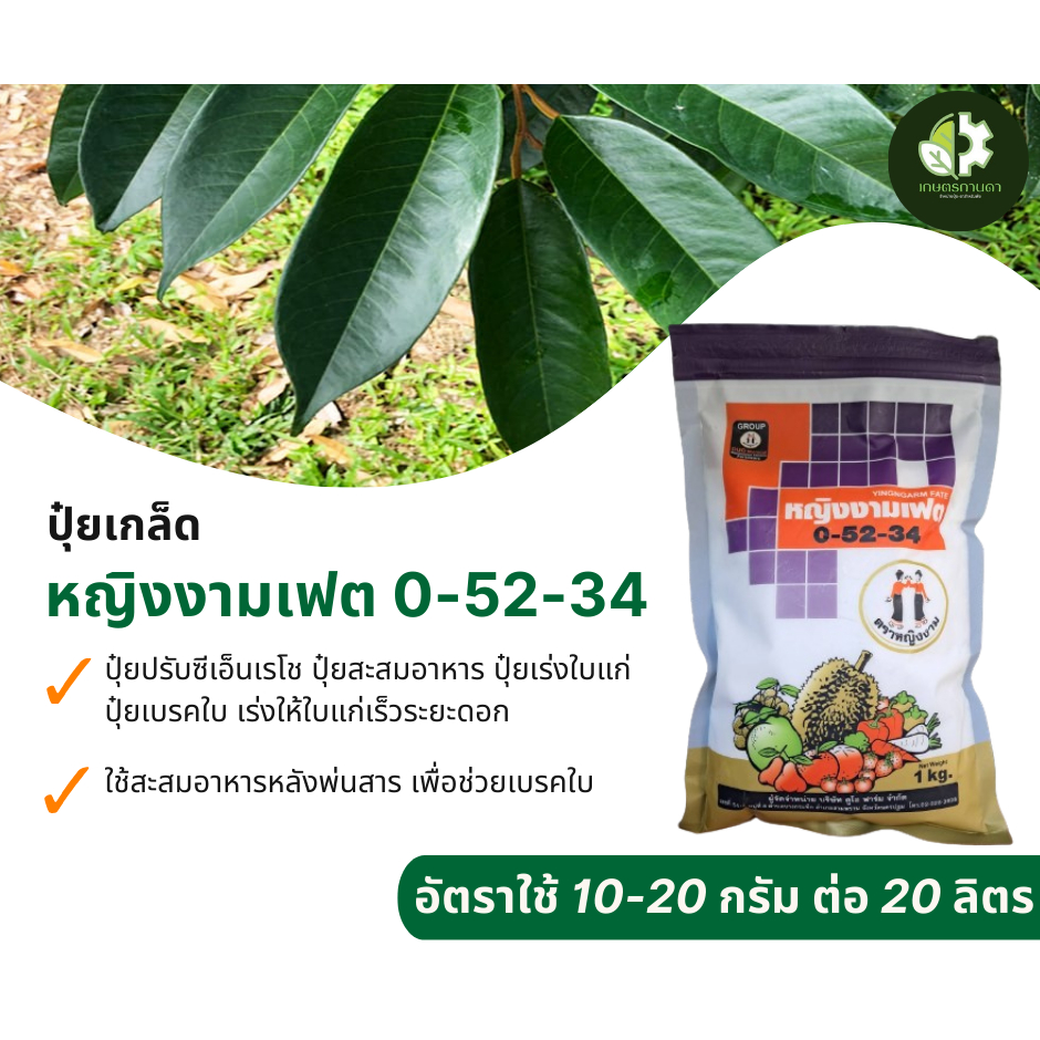 0-52-34 หญิงงามเฟต (ขนาด 1 กิโลกรัม) ตราหญิงงาม ปุ๋ยเกล็ดสะสมอาหาร สร้างตาดอก ยับยั้งการสร้างตาใบ กด