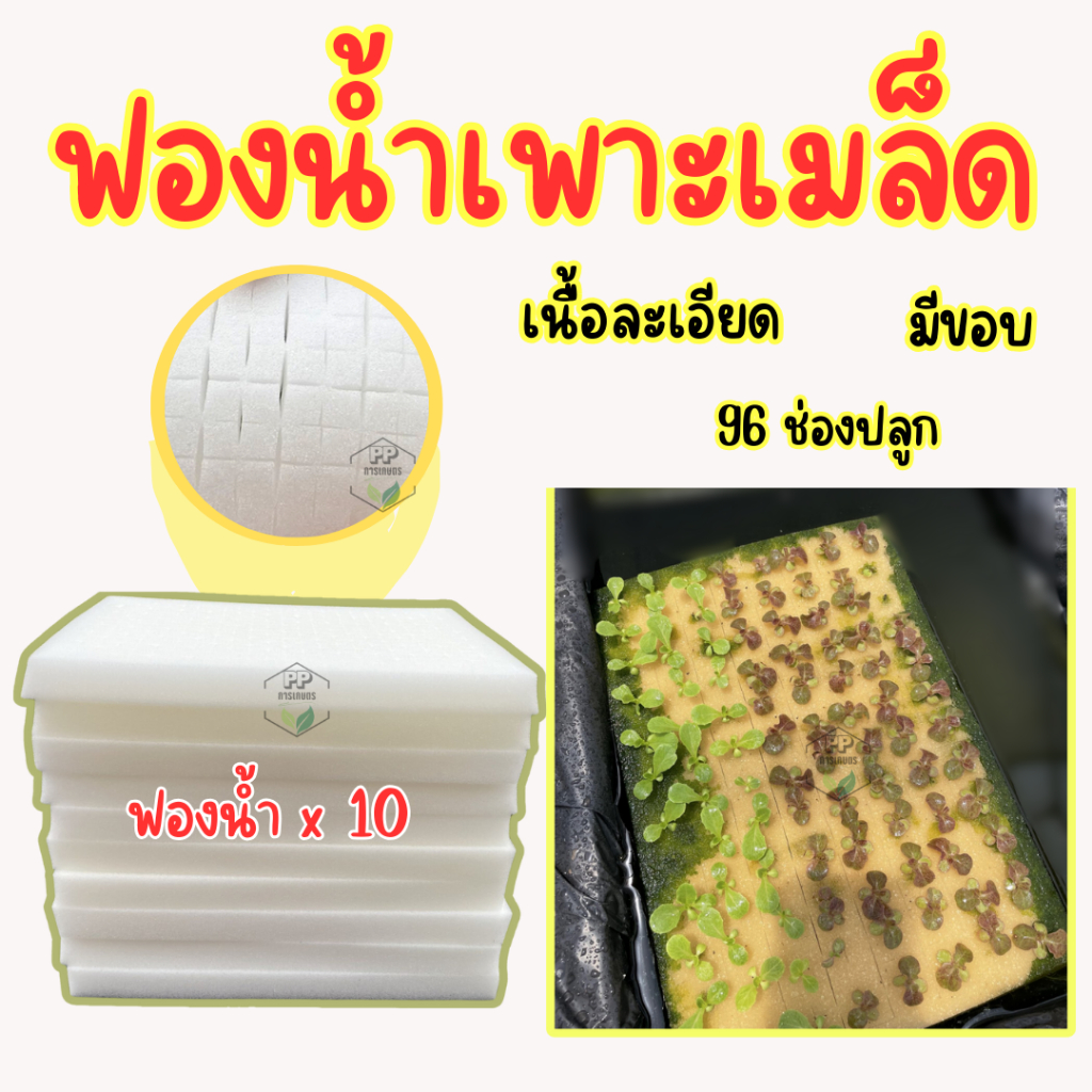 ฟองน้ำเพาะเมล็ด ฟองน้ำเพาะผักไฮโดรโปนิกส์ ผักสลัด ** 96 ช่องปลูก** เนื้อละเอียด แบบมีขอบ - 1