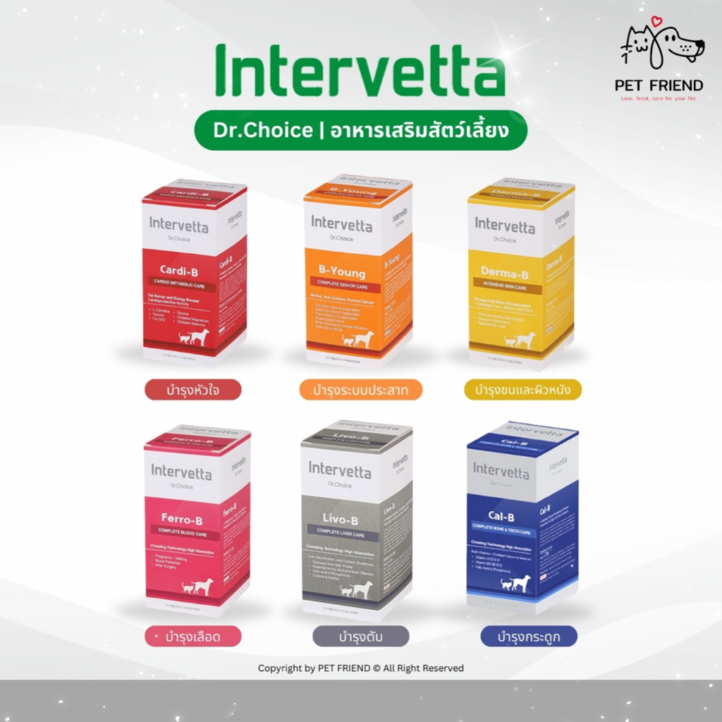 Intervetta Dr.Choice 🐶🐱 อาหารเสริมสำหรับสัตว์เลี้ยง Cardi-B, B-Young, Derma-B, Ferro-B, Livo-B, Cal-B (กล่อง 100 เม็ด)