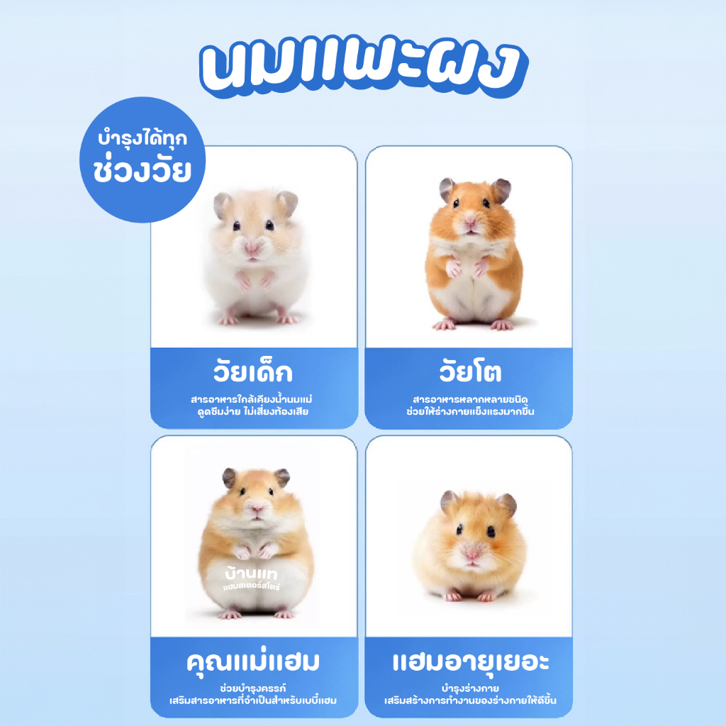 [เข้าใหม่] นมแพะแบบผง Bucatstate สำหรับสัตว์เลี้ยง แฮมสเตอร์ ดอร์เมาส์ กระต่าย แมว สุนัขและสัตว์อื่นๆ - รูปที่ 4