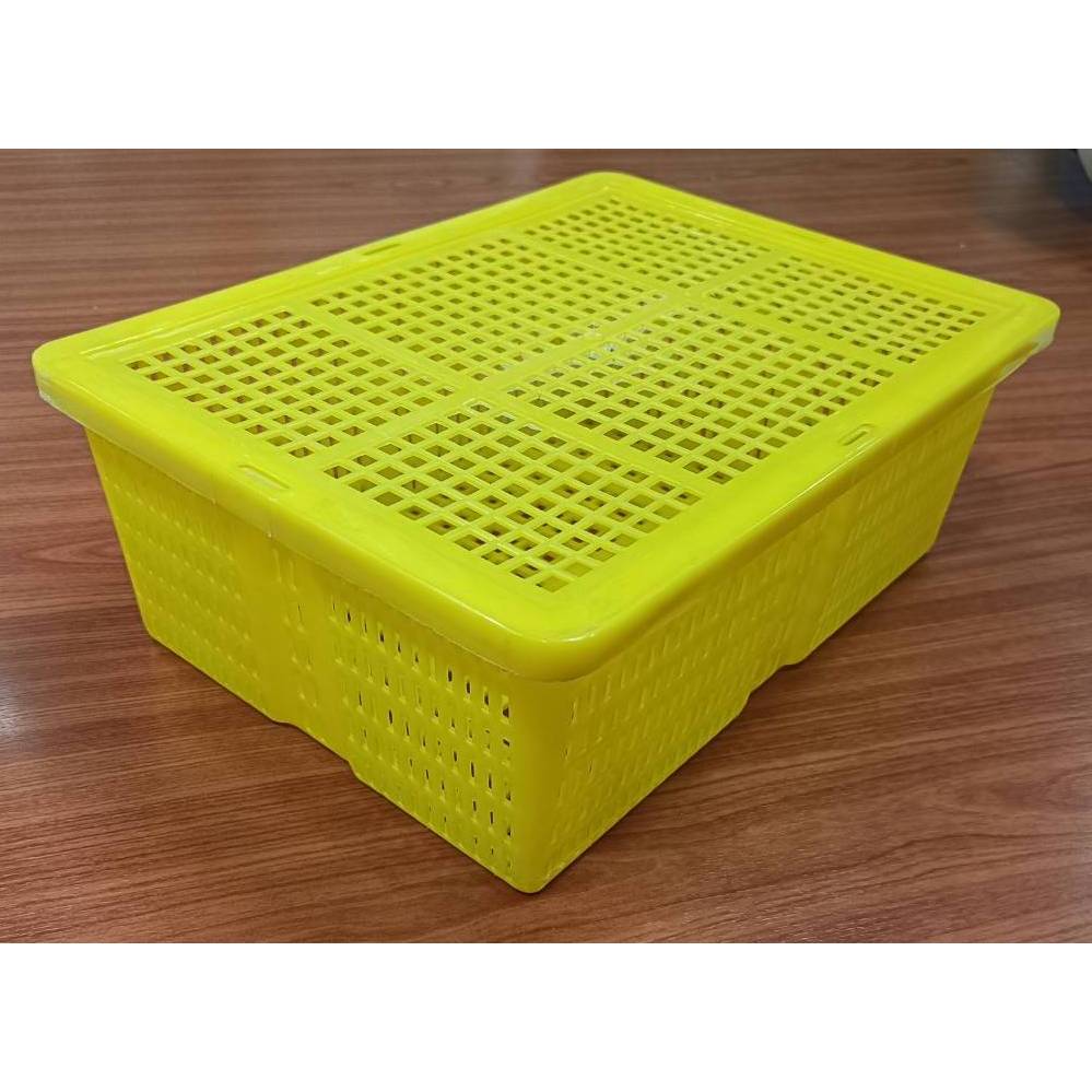 ตะกร้าแบบหนา พร้อมฝาปิด สีเหลือง มีล็อกแน่น ตะกร้าลำไย2kg. ขนาด 21.8 x 29.0 x 10.5 cm.