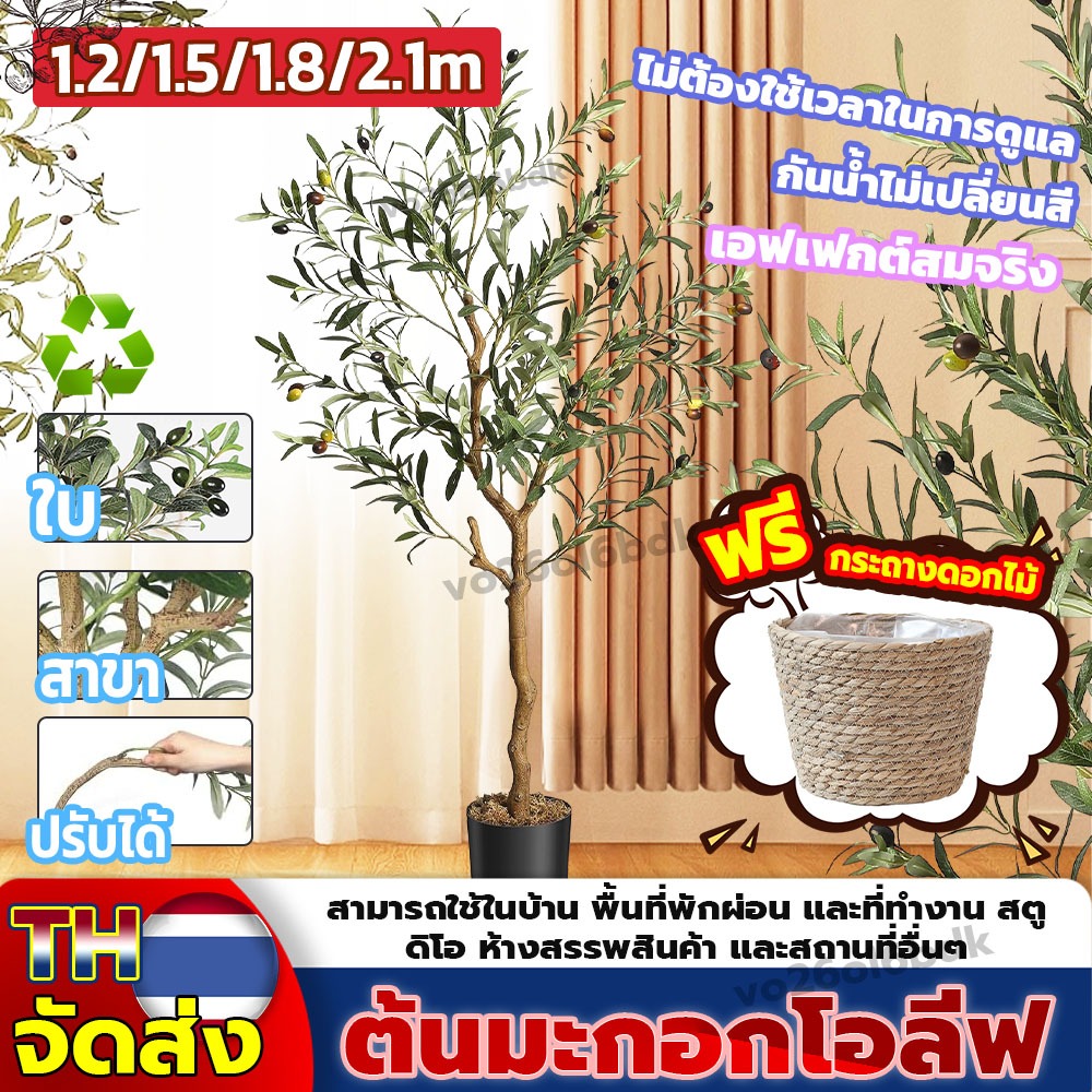 ต้นมะกอกปลอม สั่งแล้วฟรีกระถางดอกไม้ ต้นโอลีฟ 120/150/180/210cm  การตกแต่งภายในห้อง/หน้าร้าน ต้นไม้ปลอมขนาดใหญ่
