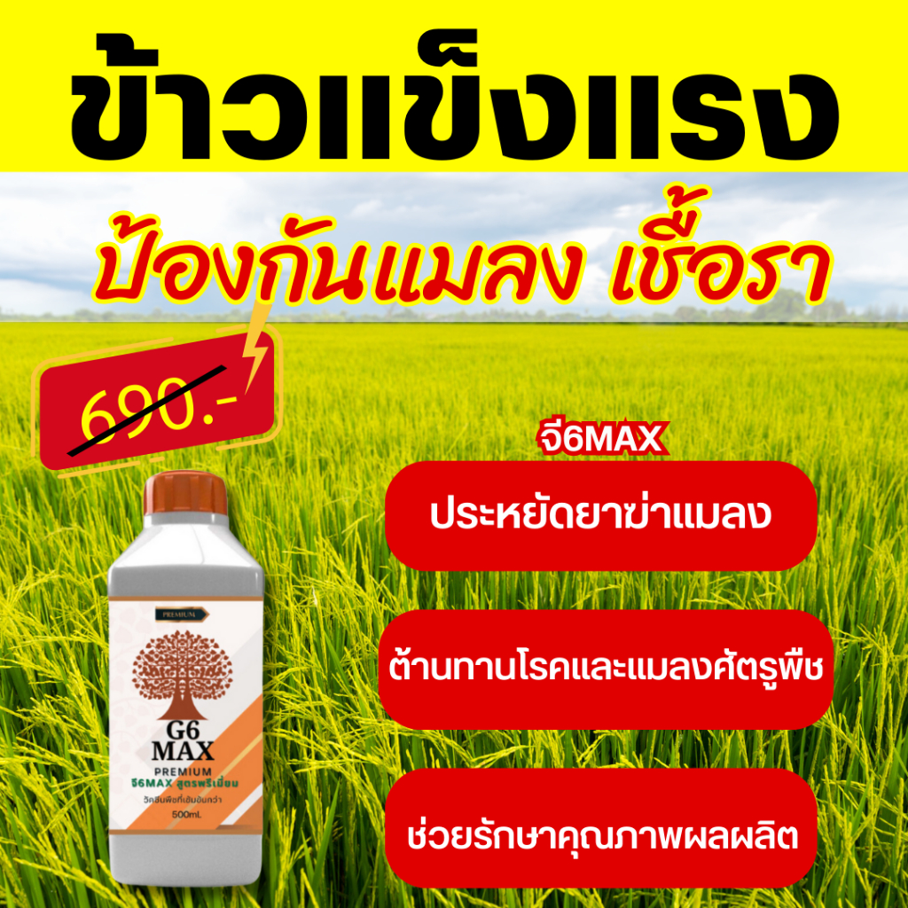 G6 Max #จี6แม็ก กำจัดราใบไหม้ เมล็ดด่าง โรคจุดสีน้ำตาลสารเสริมภูมิคุ้มกันต้านโรคพืช 1ขวด500cc