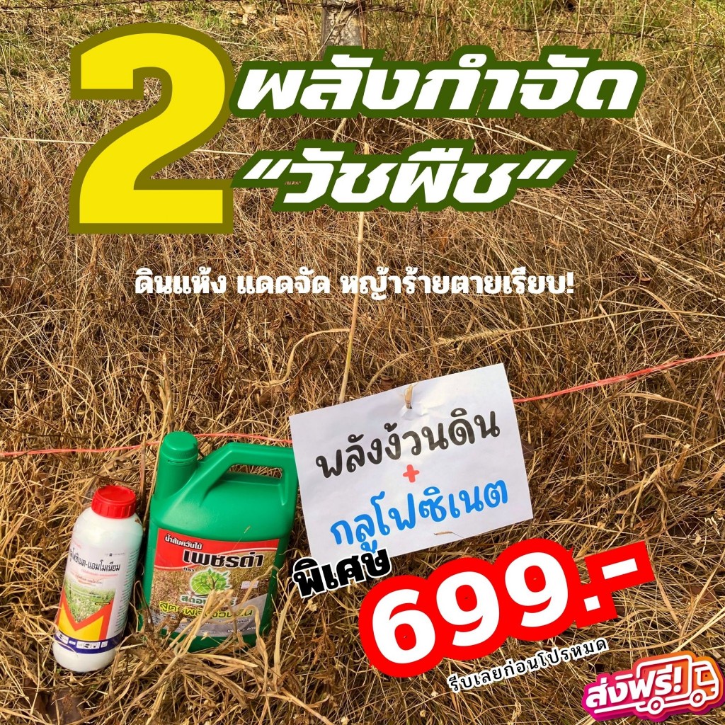 ยาฆ่าหญ้าสูตรอินทรีย์ กำจัดวัชพืชถึงรากถึงโคน เซตขายดี เพชรดำพลังง้วนดิน2แกลลอน แถมกลูโฟซิเนต2ขวด ปราบหญ้าทุกชนิด ส่งไว