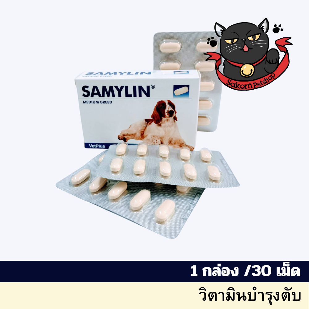 Samylin Medium Breed (1 กล่อง/30 เม็ด)วิตามินบำรุงตับสุนัขพันธุ์กลาง