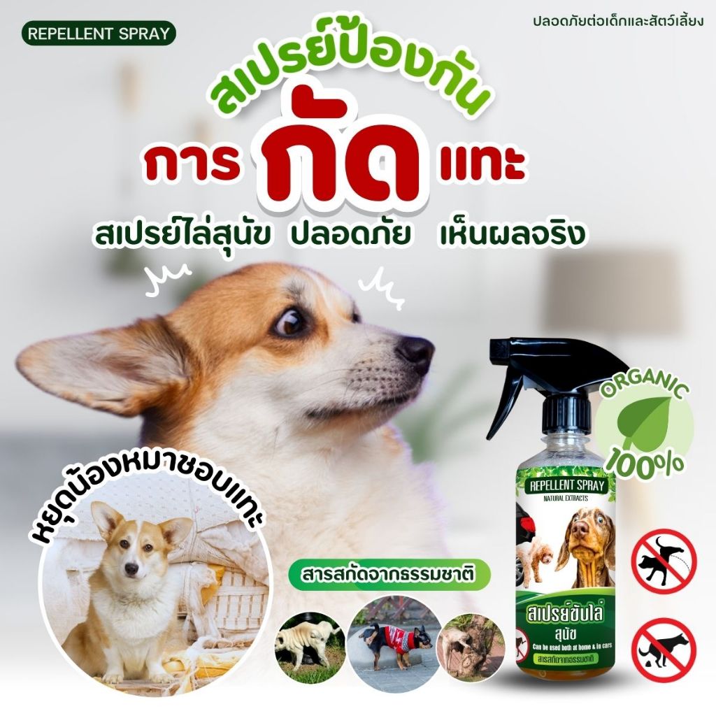 สเปรย์ฝึกสุนัขให้ขับถ่ายเป็นที่ ใช้ฝึกสุนัขให้ฉี่/อึเป็นที่ ฝึกสุนัขอึเป็นที่ 450 ml.