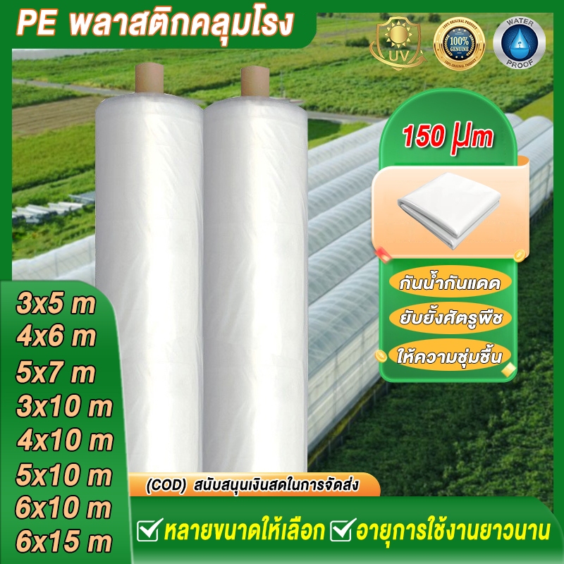 พลาสติกโรงเรือน พลาสติกคลุมโรงเรือน พลาสติกใสโรงเรือน ฟิล์มPE หนา 150 ไมครอน เหมาะสำหรับงานกันซึมหลังคาเรือนกระจก ปูบ่อ