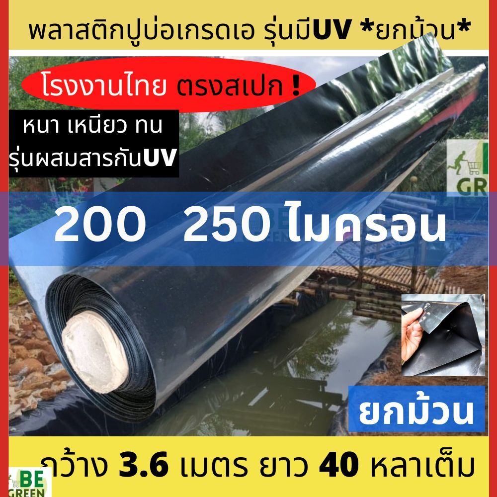 พลาสติกปูบ่อ 200ไมครอน พลาสติกคลุมโรงเรือน พลาสติกปูบ่อปลา 250ไมครอน ผ้ายางปูบ่อ บ่อน้ำ Greenhouse สระน้ำ คลองไส้ไก่
