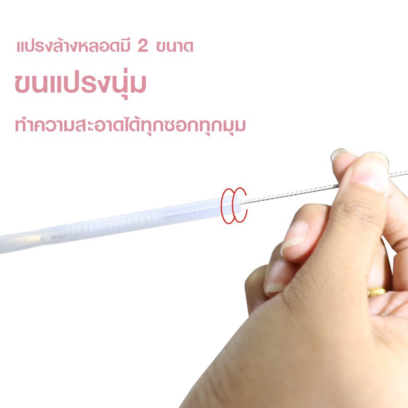 แปรงล้างหลอด เซต 3 ชิ้น [3in1] Grace Kids (สีฟ้า-สีชมพู)   แปรงล้างหลอดทุกประเภท มีรีฟิลในเซต คุ้มมาก ราคา ถูกที่สุด ดีลบีเคเค แกลเลอรีภาพที่ 2