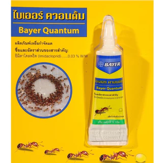 BAYER แบลททาเน็กซ์เจล เหยื่อกำจัดมด 12 กรัม Blattanex Gel