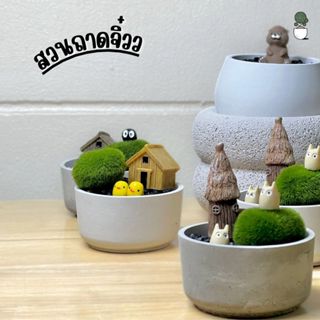 สวนถาดจิ๋ว ต้นไม้ปลอม สวนถาดตั้งโต๊ะทำงาน ไม่ต้องดูแล เซ็ทจั…