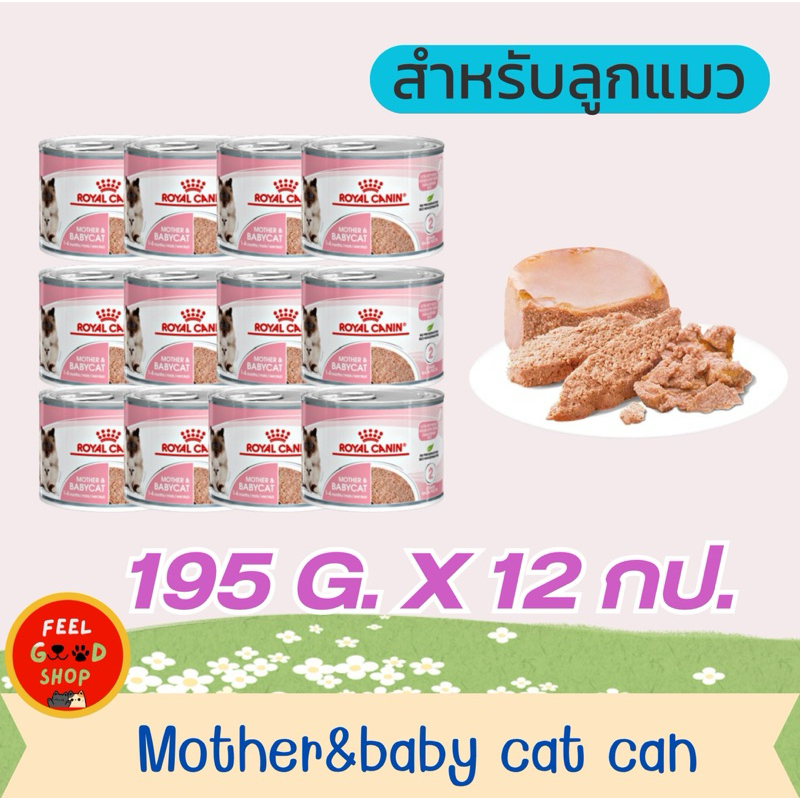 (( 12 กระป๋อง )) Royal canin Baby cat exp 04/26 สำหรับลูกแมวหย่านม