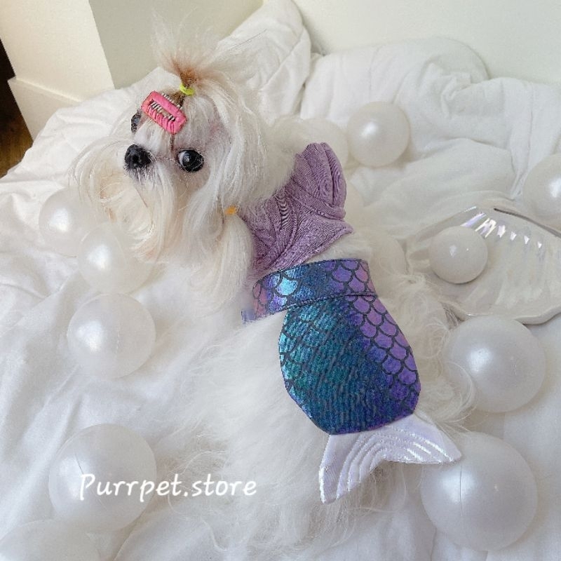 หางนางเงือก สำหรับสัตว์เลี้ยง Purrpet