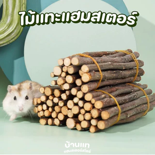 [ลดการกัดกรง] ของเล่นสำหรับลับฟัน ของเล่นติดกรง เพื่อสุขภาพฟันที่ดีของแฮมสเตอร์และสัตว์ฟันแทะทุกชนิด