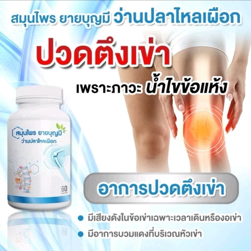 สมุนไพรยายบุญมี ว่านปลาไหลเผือก ปวดข้อ ปวดเข่า 1 กระปุก มี 60 เม็ด