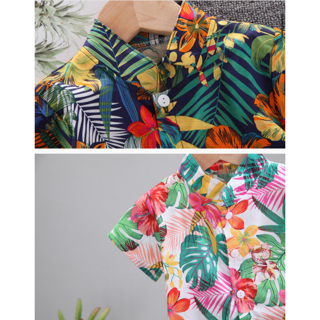 เสื้อผ้าเด็ก ชุดเด็กแฟชั่น set เสื้อ + กางเกง ผ้าcotton ชุดชายหาด ️ชุดฮาวาย ชุดสงกรานต์ เนื้อผ้าดี (8เดือน-5ปี) pfs รูปที่ 6