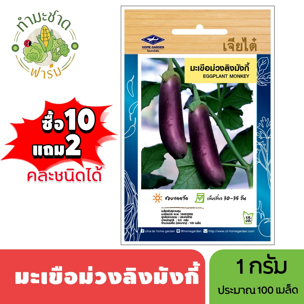 เจียไต๋ (ซื้อ10แถม2) เมล็ดพันธุ์ มะเขือม่วงลิงมังกี้ ขนาด1กรัม ประมาณ100เมล็ด Eggplant มะเขือม่วง เมล็ดพันธุ์พืช เมล็ดผั