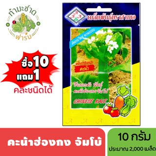 3A (ซื้อ10แถม1) เมล็ดพันธุ์ คะน้าฮ่องกง จัมโบ้ ขนาด 10 กรัม …