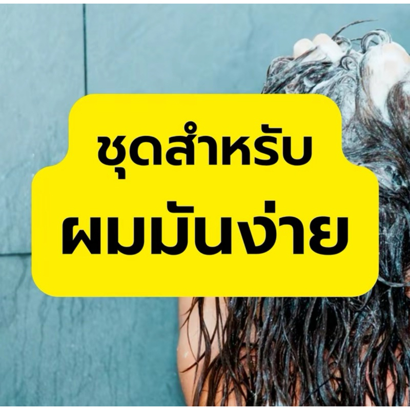ชุดสำหรับผมมันง่าย-แชมพูไพลรวม-น้ำยาไพล๒-ผมร่วง-มีกลิ่น-รังแค-มะมาเฮิร์บ