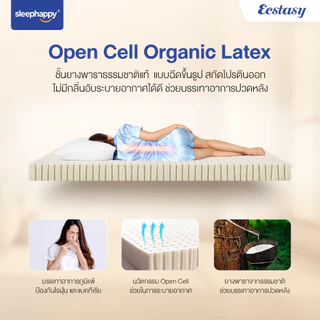 SleepHappy ที่นอนพ็อกเก็ตสปริงผสานยางพาราธรรมชาติแท้ 100% เสริม Pillow top รุ่น Ecstasy หนา 12 นิ้ว สัมผัสนุ่มแน่น