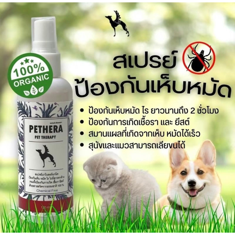 เห็นผลทันที สเปรย์พ่นเห็บหมัดไรสุนัข/แมว เลียได้ปลอดภัย ผลิตจากธรรมชาติ ปลอดภัยเลียได้