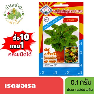3A (ซื้อ10แถม1) เมล็ดพันธุ์ เรดซอเรล ขนาด0.1กรัม ประมาณ250เม…