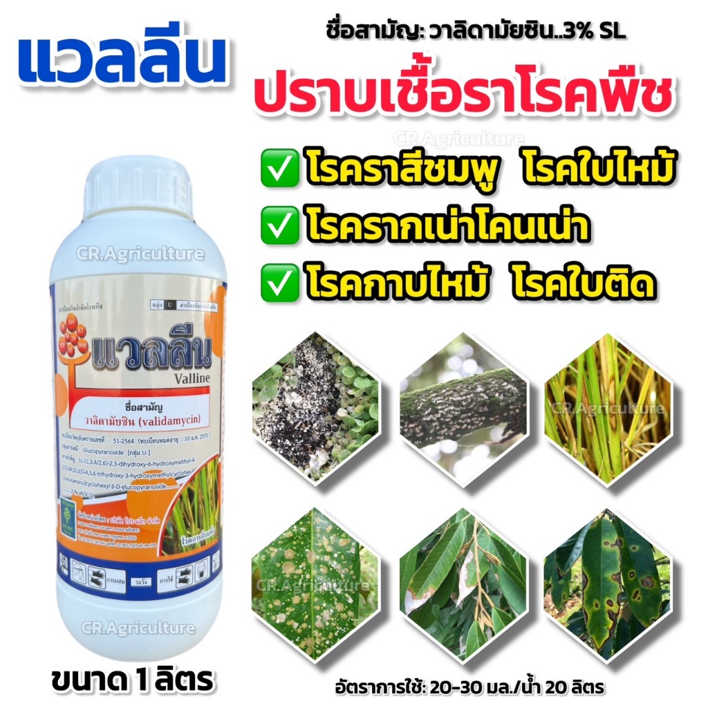 วาลิดามัยซิน แวลลีน ยาฆ่าเชื้อรา ป้องกันและกำจัดเชื้อรา โรคกาบใบแห้ง ใบไหม้ ใบจุด โรคใบติดทุเรียน โรคราสีชมพู