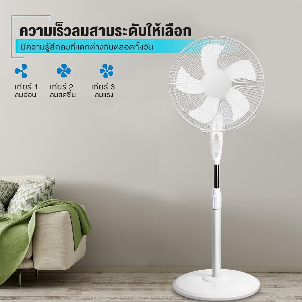 รูปภาพ 3