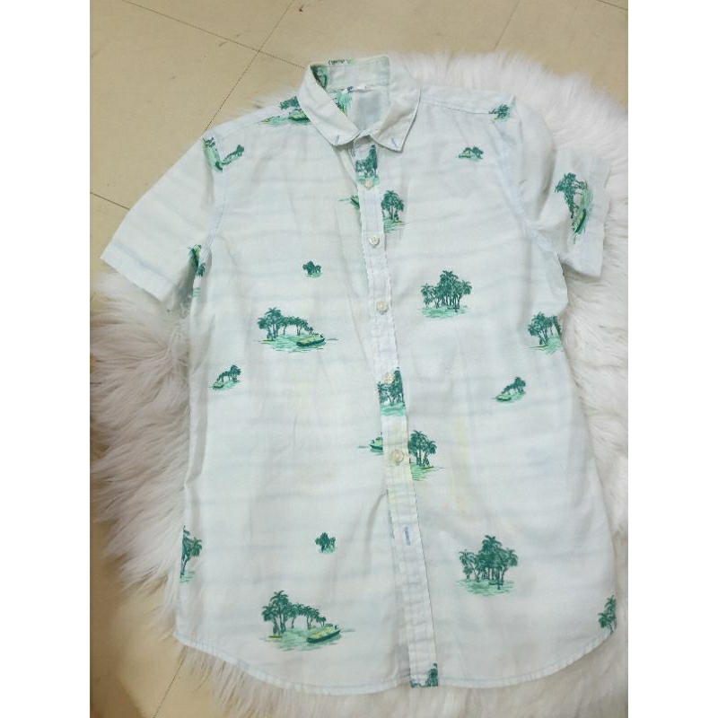 เสื้อเชิ้ต ลายฮาวาย AIIZ