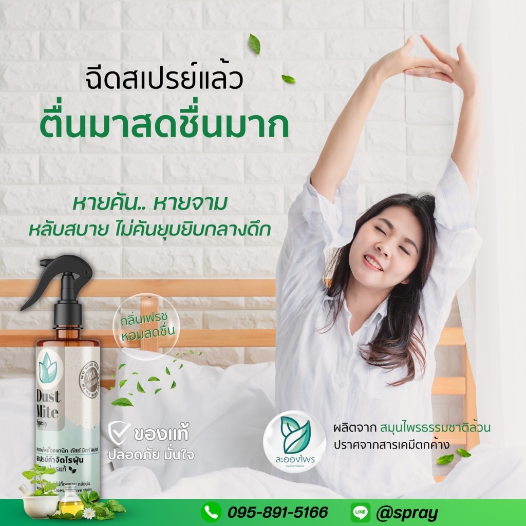 ละอองไพร สเปรย์กำจัดไรฝุ่น สูตรสมุนไพร ละอองไพร - 3