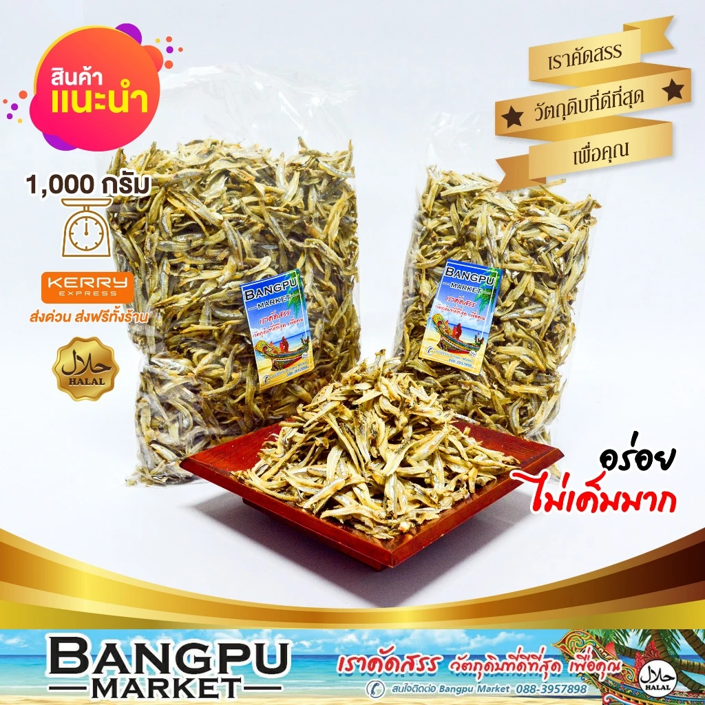 รวมมิตร ปลาทะเลแปรรูป ตากแห้ง ปลากะตัก ปลาข้าวสาร ปลาซิวแก้ว ปลาเกล็ดข้าว ปลาหลังเขียว ปลากระเบนวงปลาแมว Tuyo Dried fish thumbnail 3