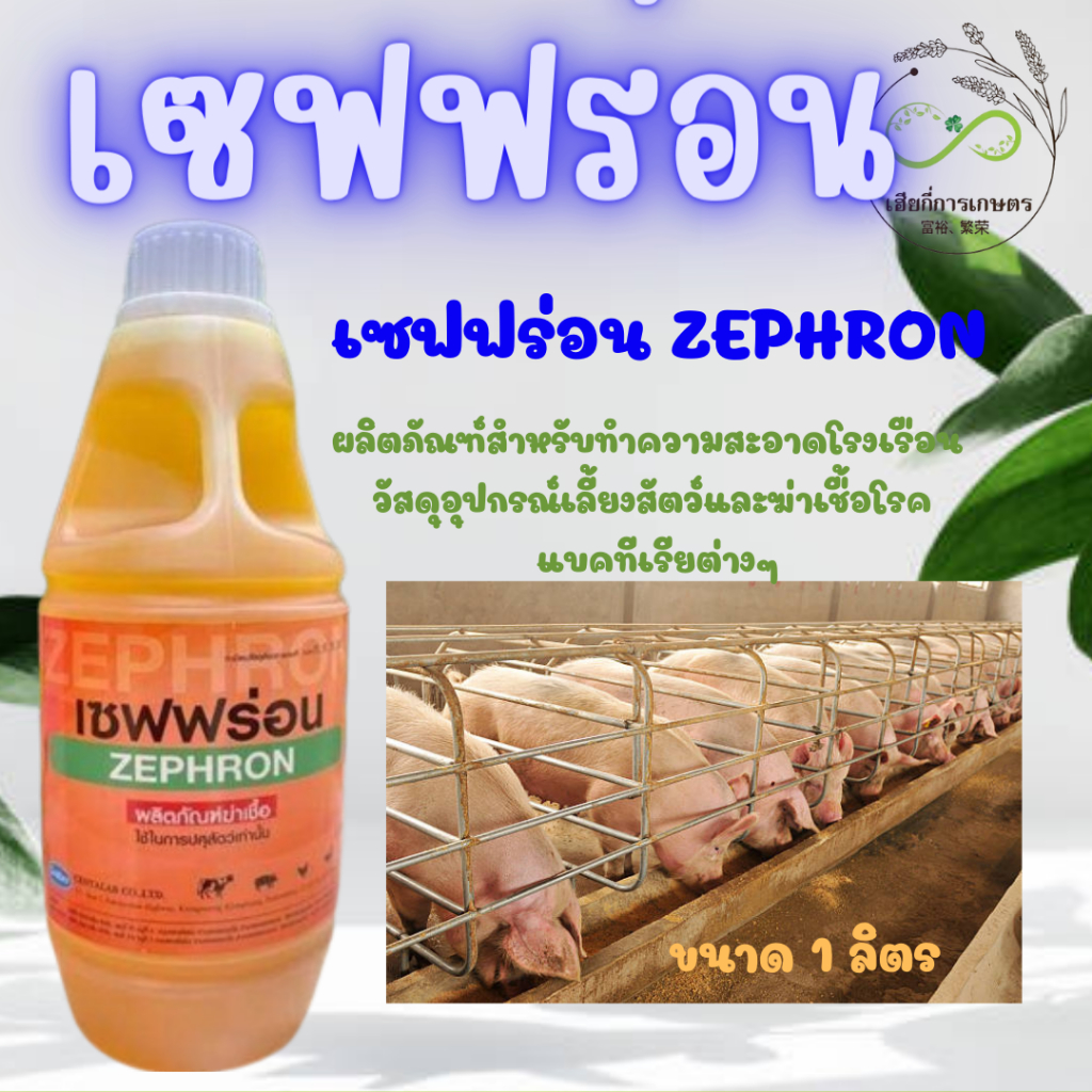 เซฟฟร่อน ผลิตภัณฑ์ ฆ่าเชื้อเป็นผลิตภัณฑ์ฆ่าเชื้อแบคทีเรีย สําหรับผิว ฝาผนัง วัสดุและอุปกรณ์ต่างๆในฟาร์มเลี้ยงสัตว์ 1ลิตร