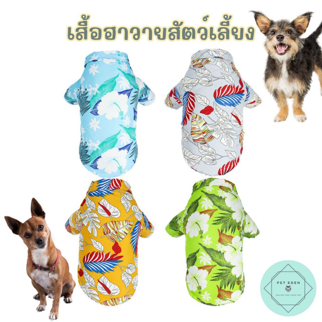 เสื้อฮาวายสัตว์เลี้ยง หมา แมว สุนัข Forest Hawaii Pet Shirt เสื้อเชิ้ตหมา ชุดเที่ยวป่า เที่ยวทะเล