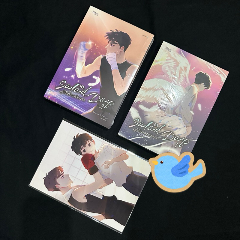การ์ตูนวาย SaladDays สู่ฝันของสองเรา เล่ม 1-2 (พิมพ์ 1) + ชิกิชิ Salad Days