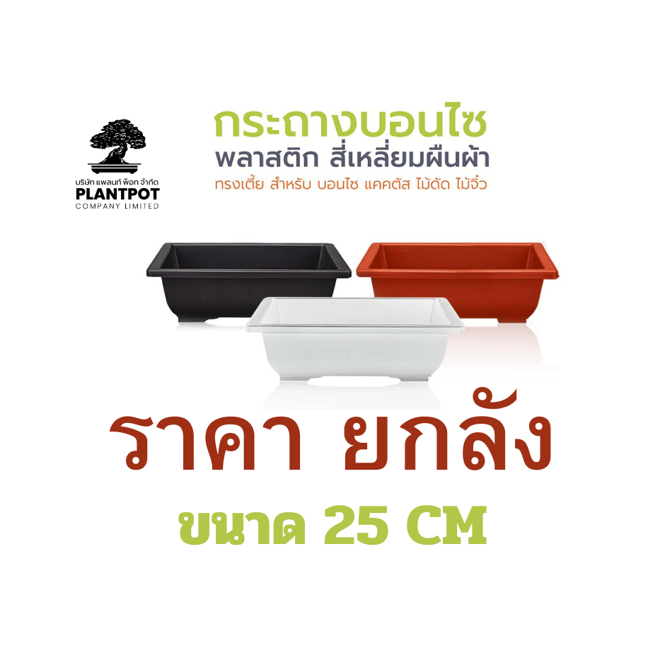 กระถางพลาสติกผืนผ้าขนาด 25 cm (ขายยกลัง PR-025) ทรงเตี้ย สำหรับ บอนไซ แคคตัส ชวนชม ไม้ดัด ไม้แคระ ไม้จิ๋ว
