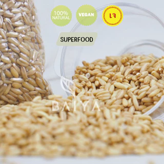 WHOLE OAT GROATS ข้าวโอ๊ตดิบเต็มเมล็ด ชนิดหุง 1kg. ธรรมชาติ 100%
