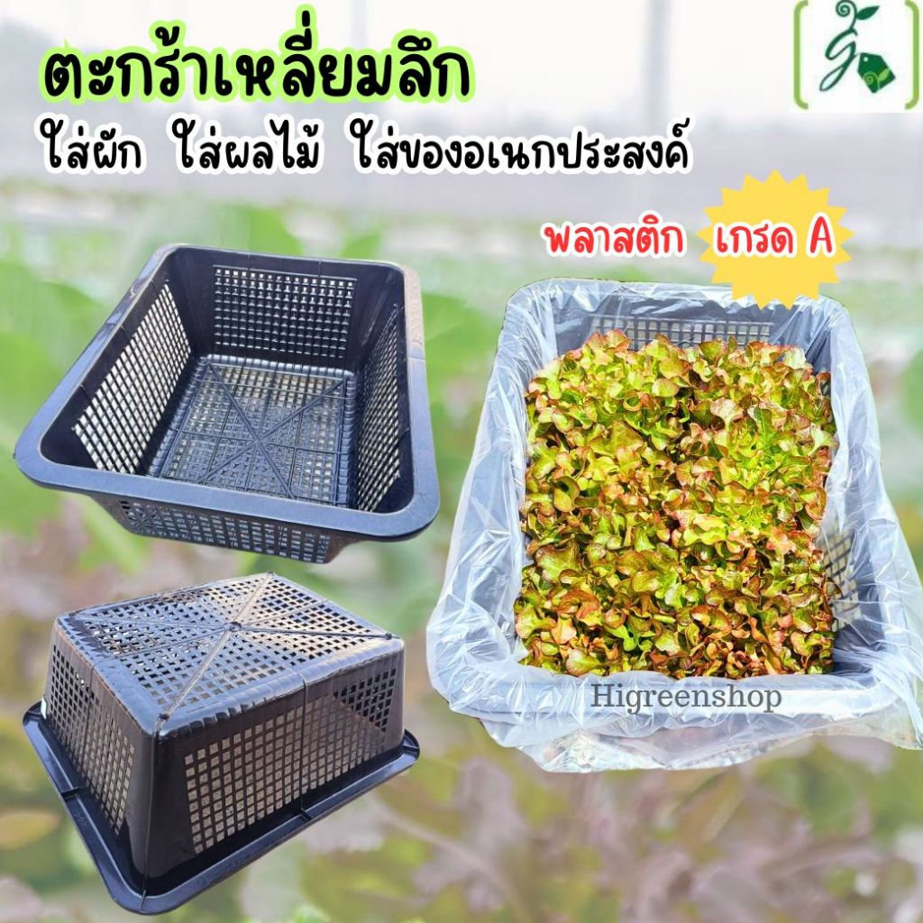 ตะกร้าเหลี่ยมลึก ใส่ผัก ใส่ผลไม้ ใส่ของอเนกประสงค์ พลาสติก เกรด A