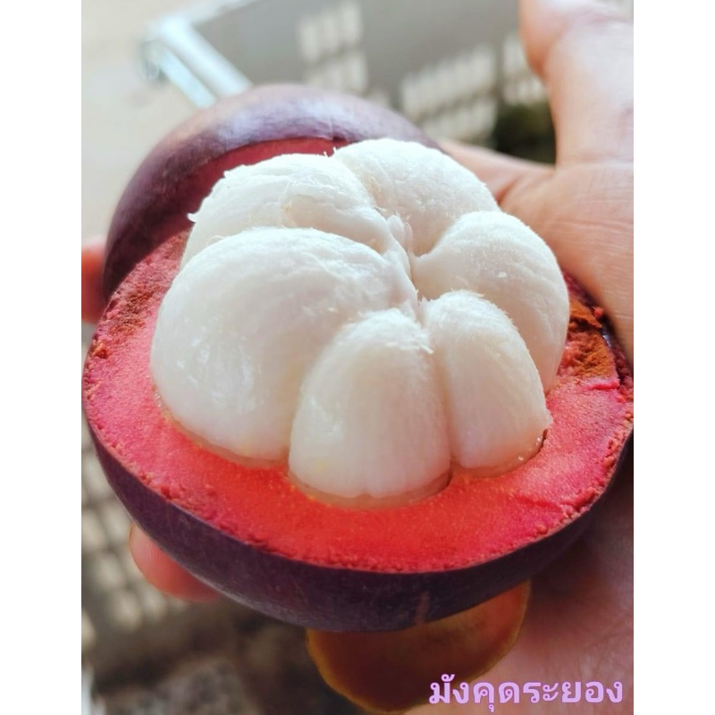 มังคุดคัดระยอง สดใหม่ๆ 5กิโลกรัม