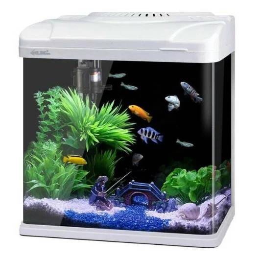 🐟🐟 ตู้เลี้ยงปลาพร้อมปั๊มน้ำช่องกรองไฟLED ยี่ห้อ Xilong ฝาสีขาว สีดำ ****สินค้าพร้อมส่ง****