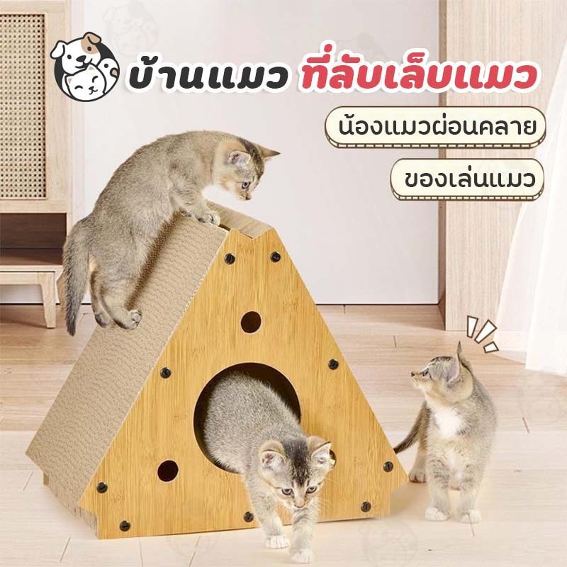 ที่นอนแมว ของเล่นแมว ที่ลับเล็บแมว บ้านแมว ที่นอน