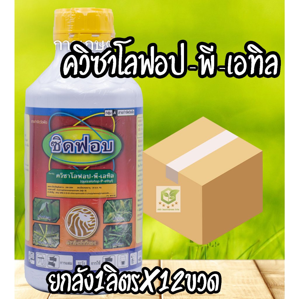 /ยกลัง12ขวด/ ควิซาโลฟอป -พี-เอทิล (ซิดฟอบ) ขนาด 1ลิตร กำจัดวัชพืชใบแคบ ปลอดภัยต่อพืชใบกว้าง ทานตะวัน ผัก พืชตระกลูถั่ว