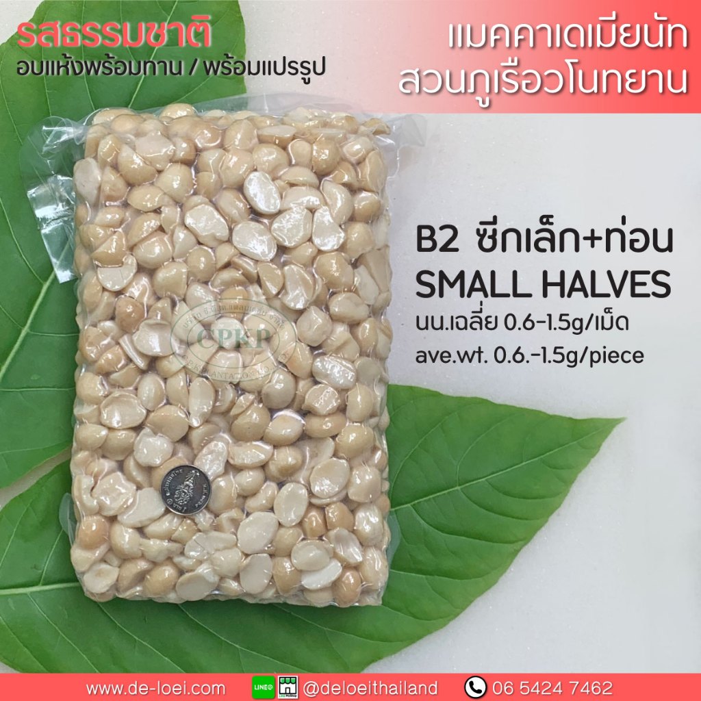 แมคคาเดเมีย อบพร้อมทาน ครึ่งซีกผสม Macadamia nuts
