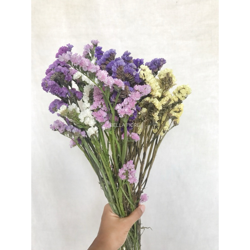 ดอกไม้แห้ง ดอกสแตติสแห้งสีรวม ราคาพิเศษ กำละ50บาท พร้อมส่งจาก กทมเลยค่ะ