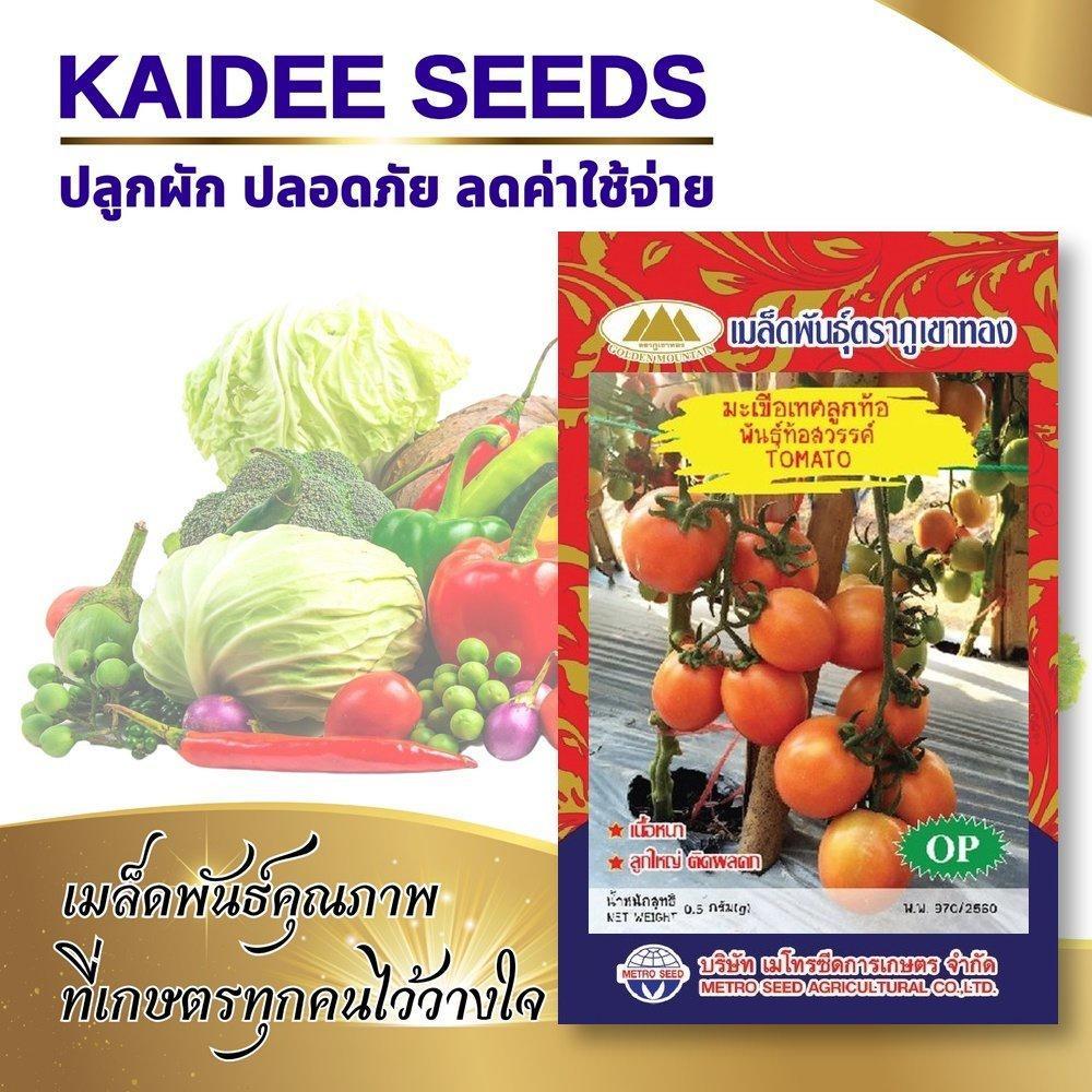 เมล็ดมะเขือเทศลูกท้อ พันธุ์ท้อสวรรค์ TOMATO เมล็ดพันธุ์มะเขือเทศ เมล็ดมะเขือเทศ มะเขือเทศลูกท้อ ตราภูเขาทอง
