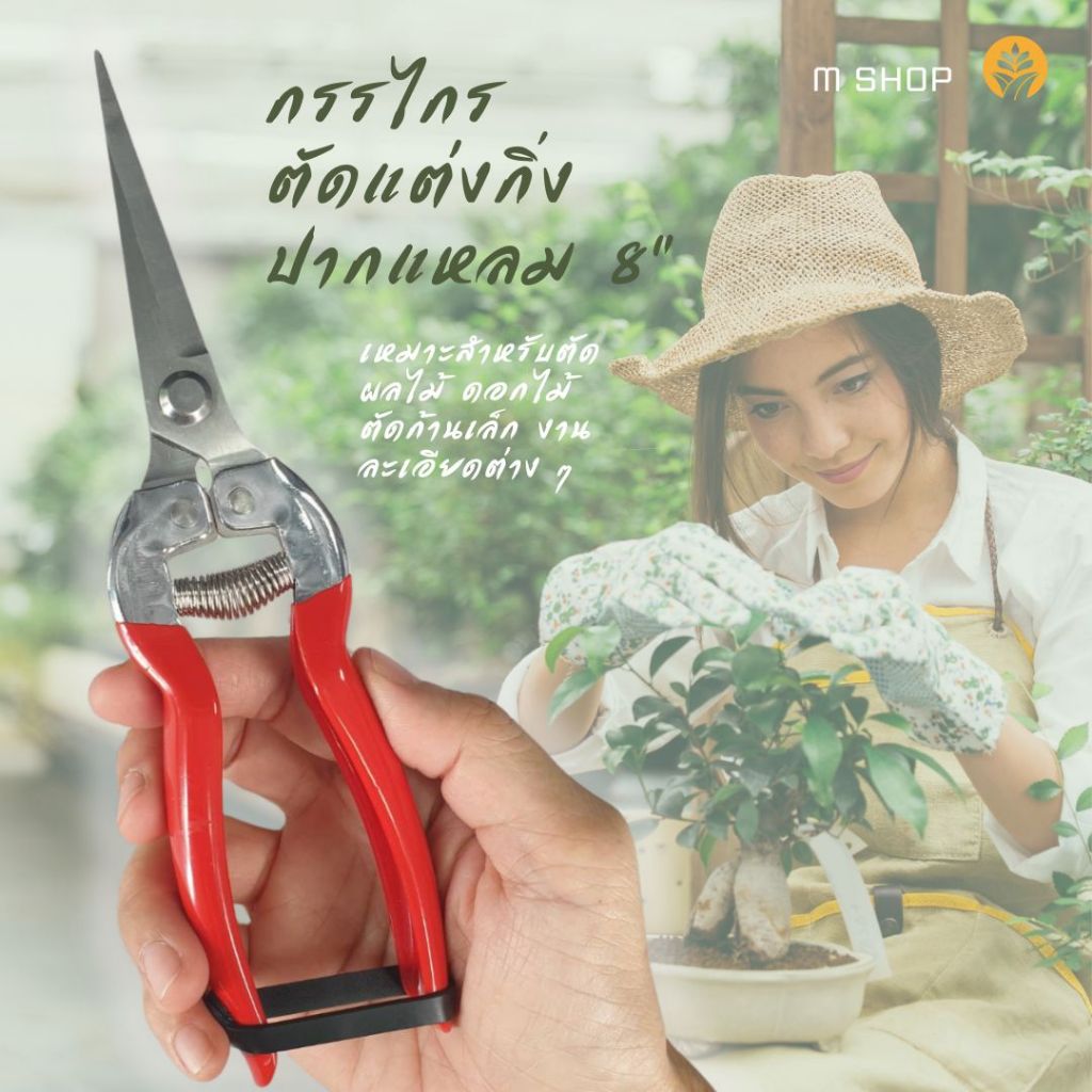 กรรไกรตัดแต่งกิ่ง ปากแหลม 8" เหมาะกับตัดกิ่งผลไม้ ดอกไม้ ก้านเล็กต่าง ๆ