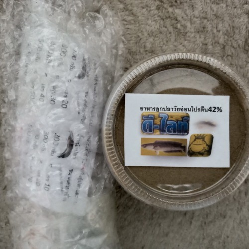 ดีไลท์อาหารปลาโปรตีนสูง42%100กรัมฮอร์โมนไข่10mlOัลวาปsิม10Mlมีอาหารลูกปลา1กระปุก100กรัม