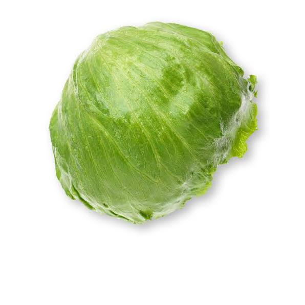 ต้นกล้าผักสลัดแก้ว ผักกาดแก้ว(Iceberg Lettuce) หอมห่อ ปลูกไว้ทีบ้าน ปลอดภัยไร้สาร ทานกับปิ้งย่างเกาหลี อร่อยมาก