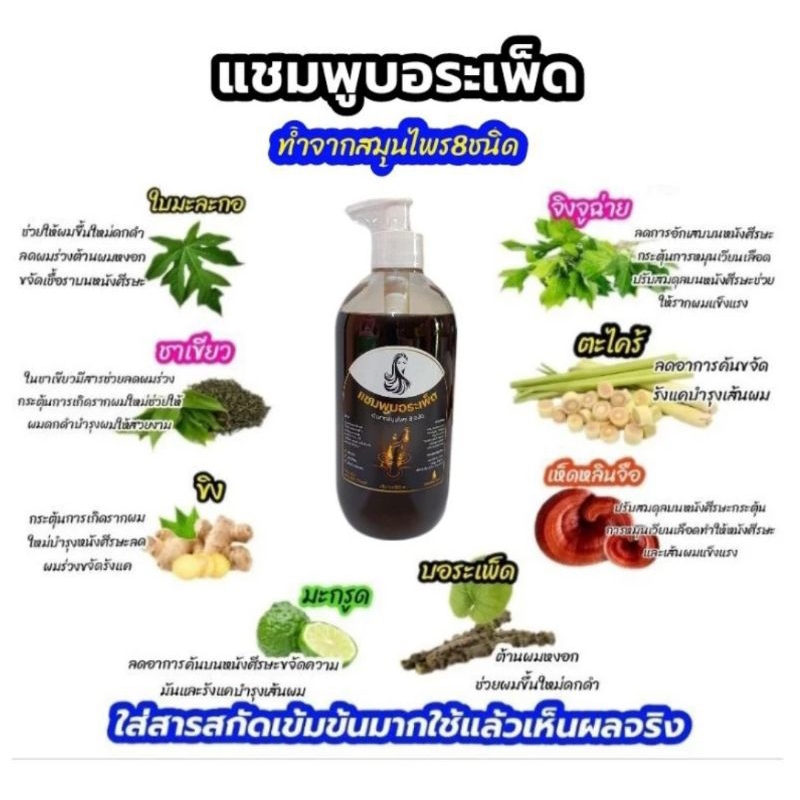 คู่จิ้นแก้ผมร่วงใน7วัน แชมพู+เซรั่ม ลดผมร่วงลดผมหงอกผมบางขจัดความมันและรังแคกระตุ้นการเกิดรากผมใหม่ช่วยผมดกดำ - รูปที่ 2