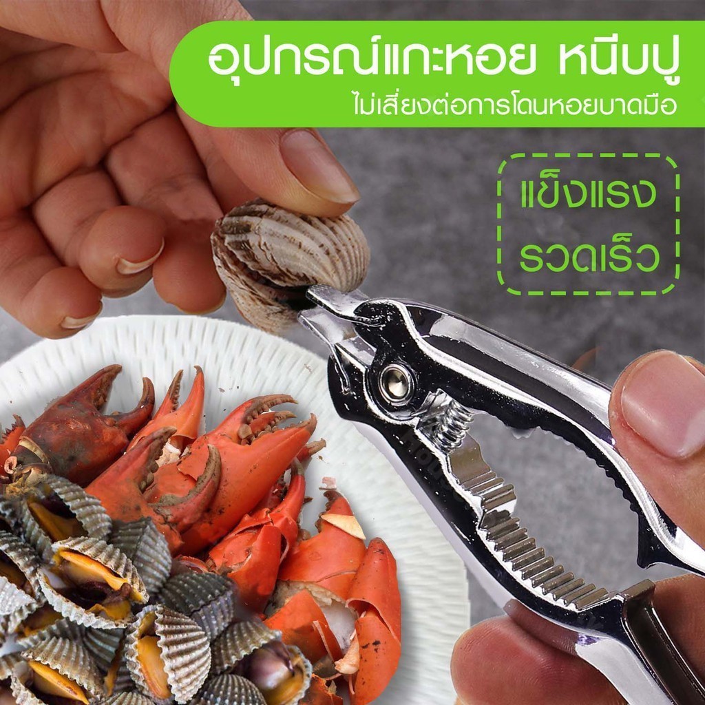 ที่แกะหอยแครง ที่หนีบปู คีมเปิดปากหอยแครง ที่แกะหอย อุปกรณ์แกะหอย สแตนเลสแท้ 100% หอยแครง เครื่องครัว แกะหอย - รูปที่ 7