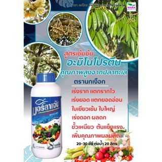 อะมิโน โปรตีน ปุ๋ยปลา เข้มข้น น้ำดำ บำรุงต้น ใบ ดอก ผล เพิ่ม…